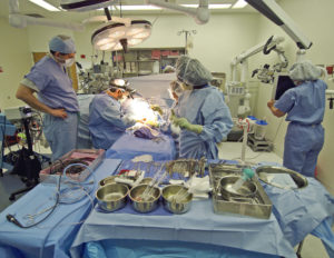 Amputation After Sepsis in Oregon Surgical Error Lawyer in Portland, Oregon